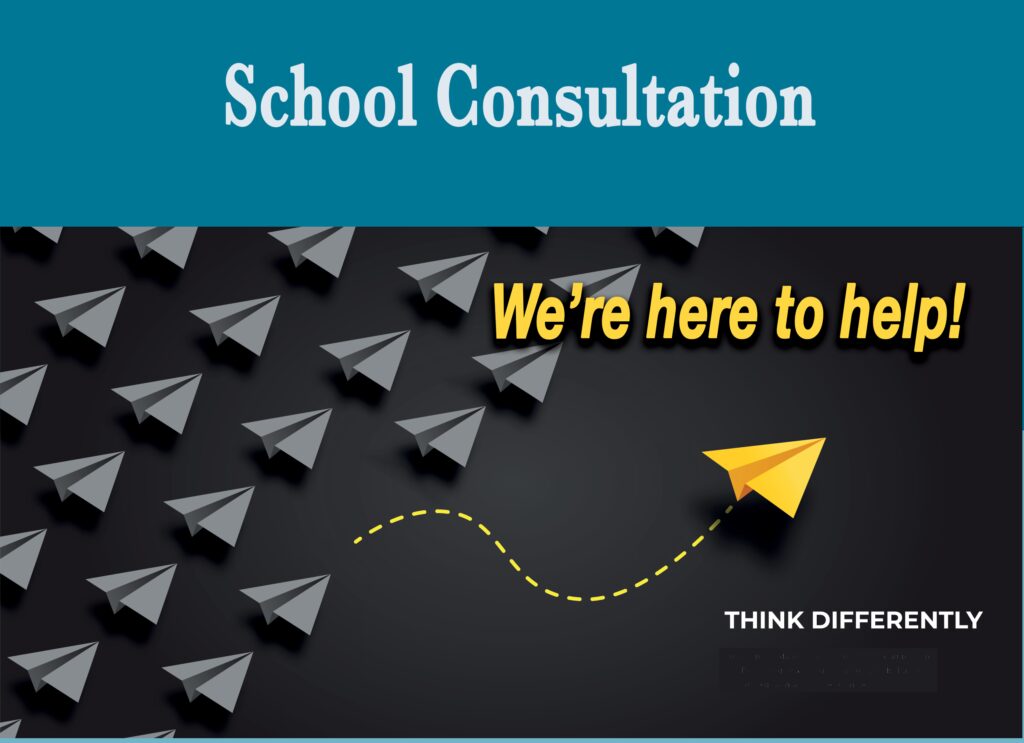 School Consulting